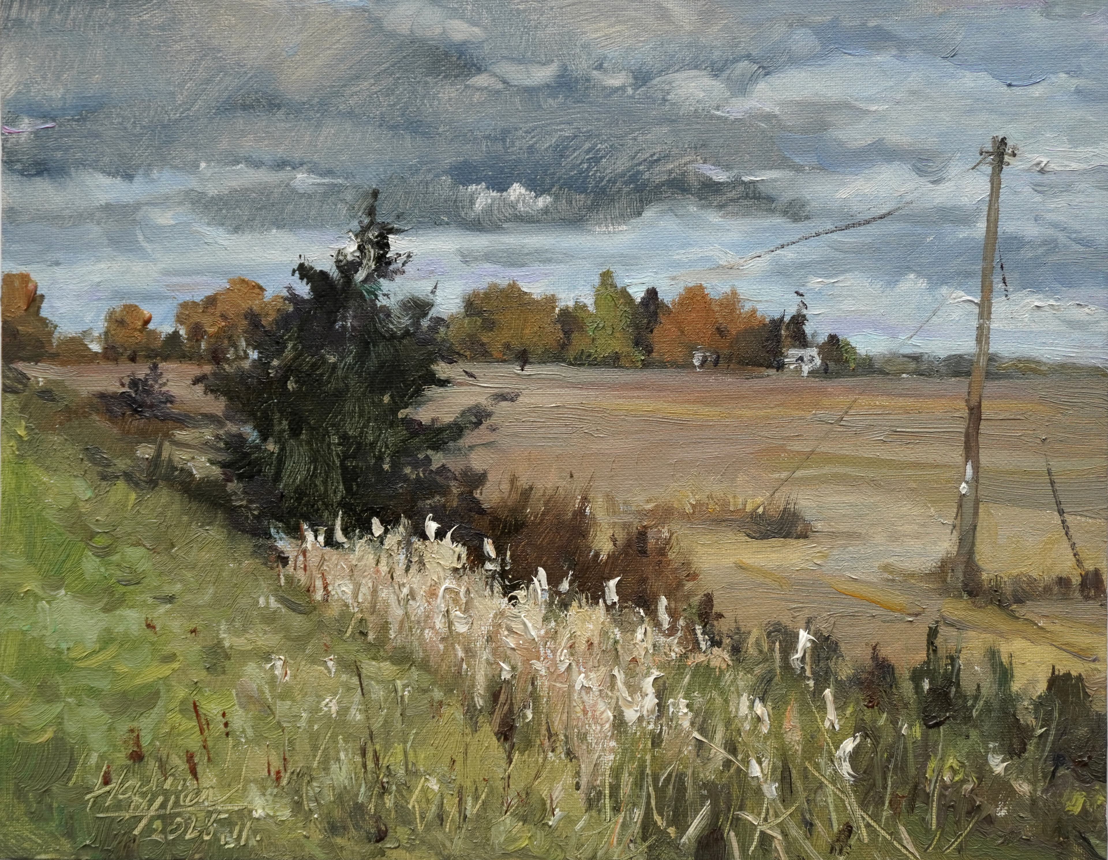 Fields — oil painting