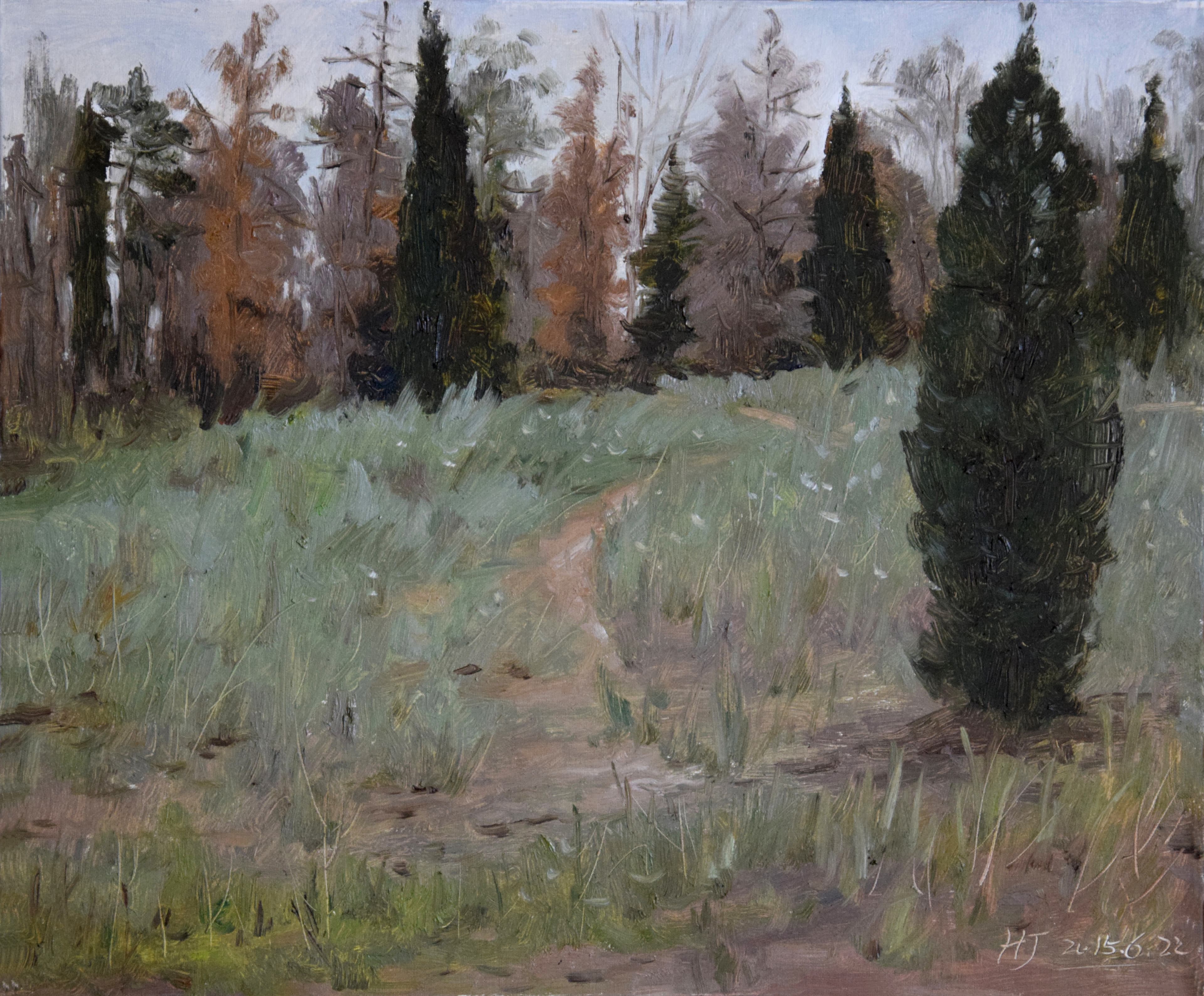 Grassy slope — oil painting